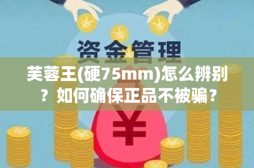芙蓉王(硬75mm)怎么辨别？如何确保正品不被骗？